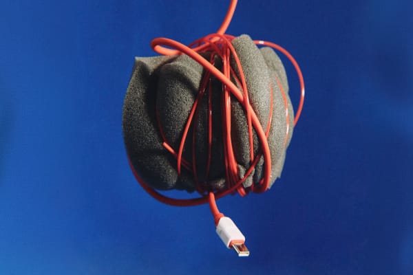 orgasm for your brain